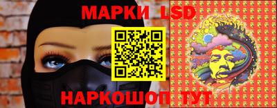 МДПВ Новодвинск