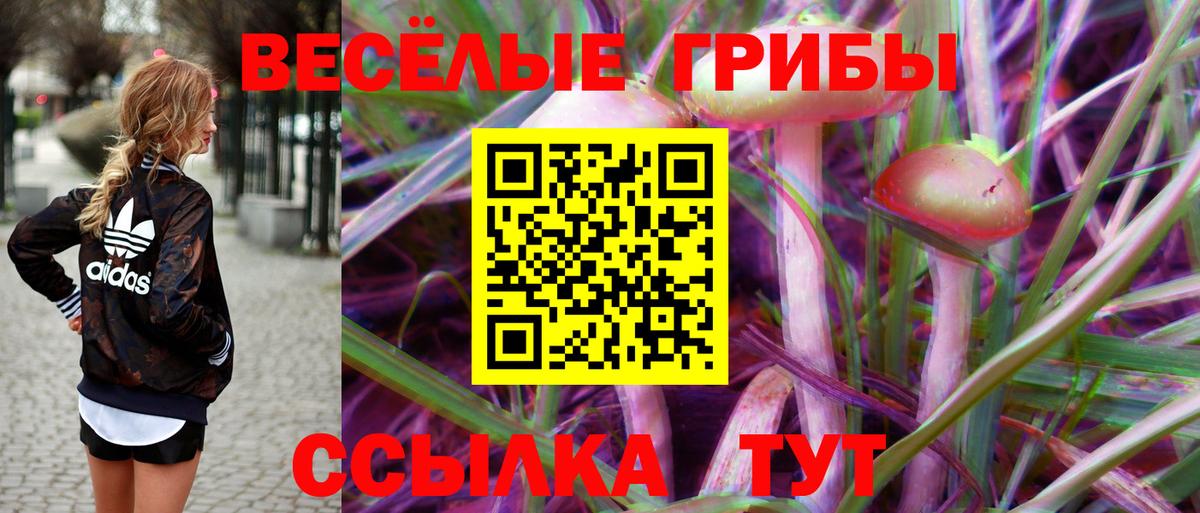 Октябрьский  Псилоцибиновые грибы мицелий  Вход с VPN  Галлюциногенные грибы мицелий 