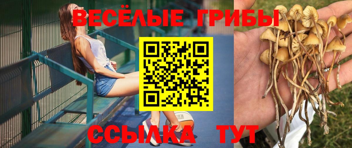 Псилоцибиновые грибы мухоморы Октябрьский